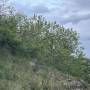 img_4134.jpeg